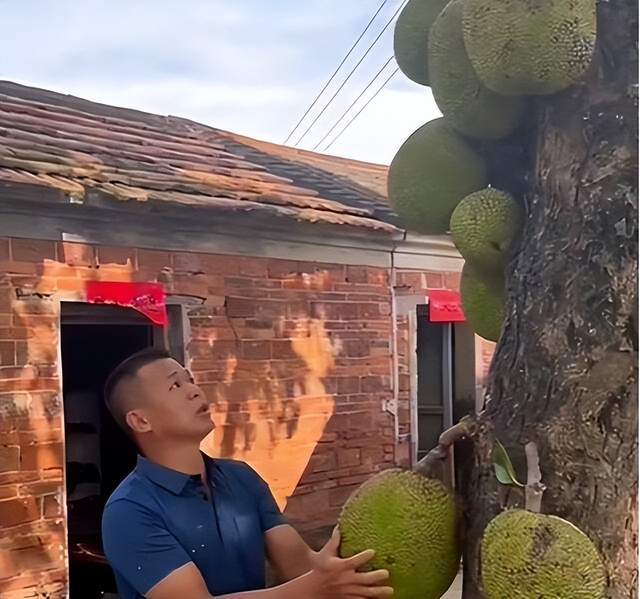 兄妹探寶 视频截图