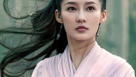 偷天陷阱 视频截图