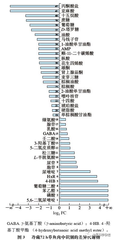 伏妖·誅魔鏡 视频截图