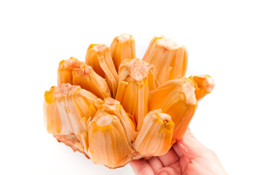 伊阿索密碼 视频截图