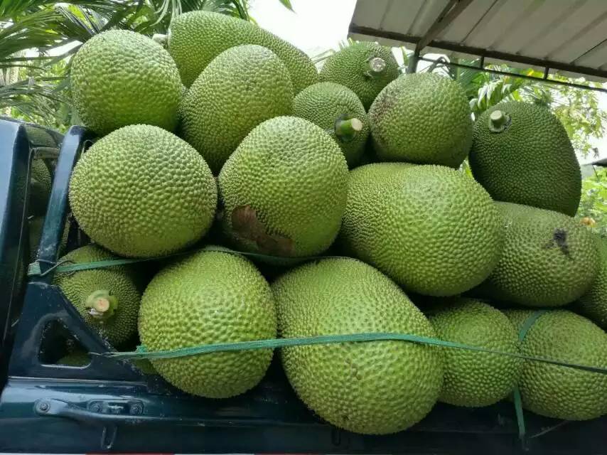 你好，查理 视频截图