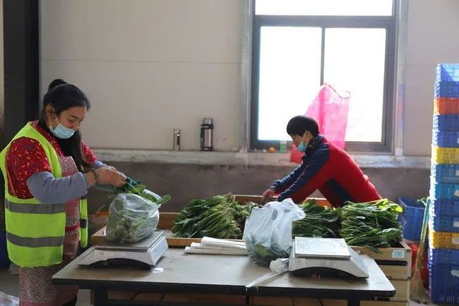 你們不該在這裏 视频截图