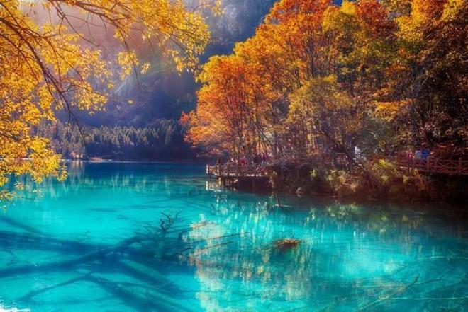 僵屍高校4：吸血鬼黎明 视频截图