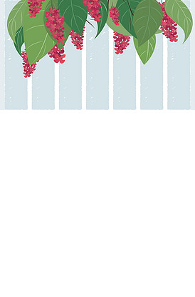 Ha Gom：靈魂的黑暗