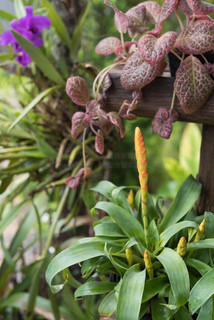 催眠對決 视频截图