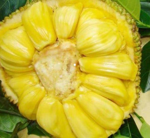 假麵騎士鎧武劇場版：足球大決戰！黃金果實爭奪杯！ 视频截图