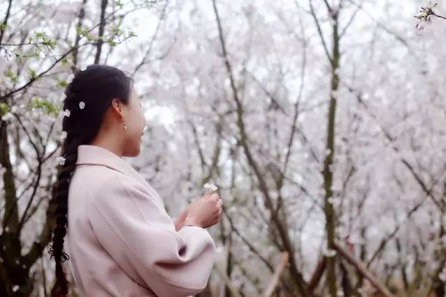 借錢專家 视频截图